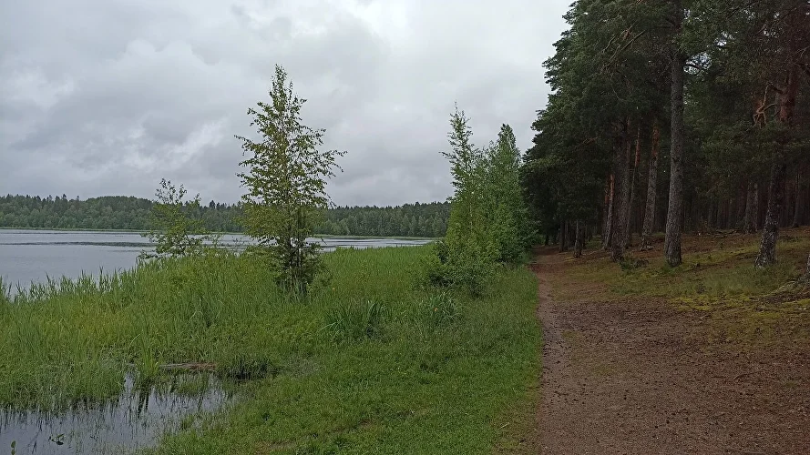 post-image